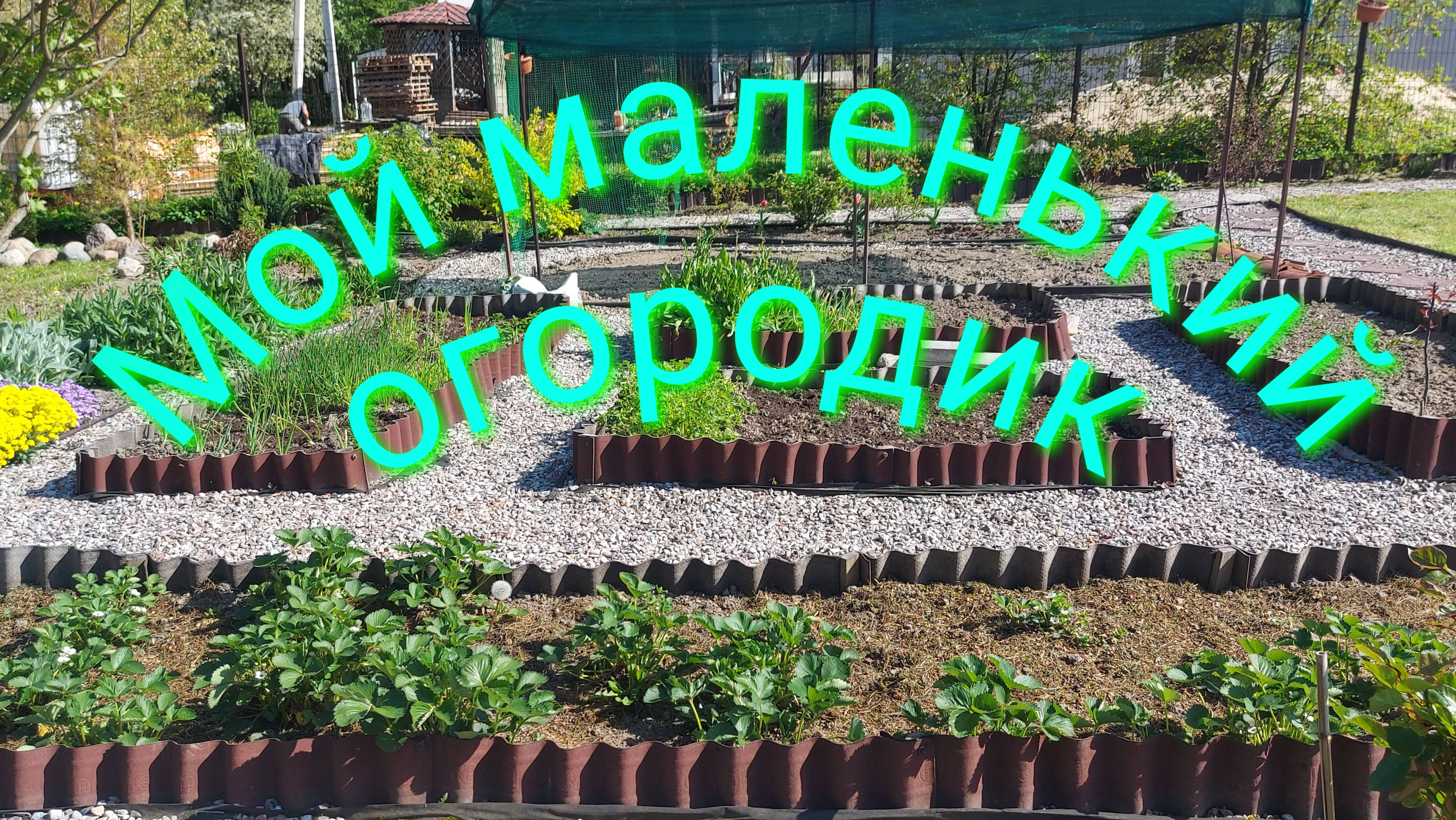 Дача.Майские садово-огородные дела.🌞💚🌸🌿 #дачныебудни#обзордачи#огород
