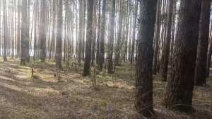 прогулка