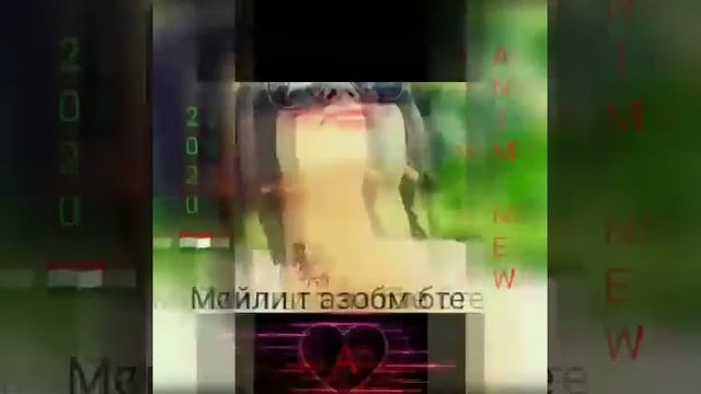 ANIM VEV  REP Майли т азобм бте _ 2020