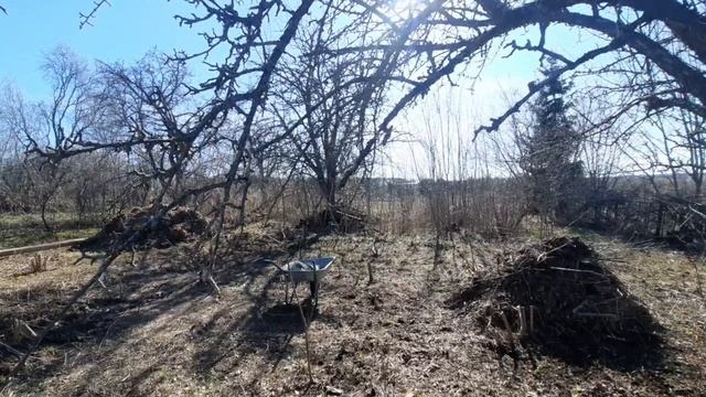 Разобрали пристрой! Пилю деревья и делаю мульчу!