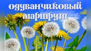 Художники рисуют   "Одуванчиковый маршрут".