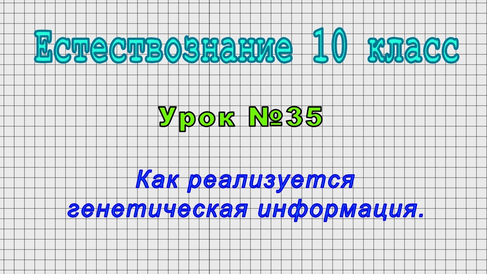 Естествознание 10 класс (Урок№35 - Как реализуется генетическая информация.)