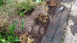 Без огорчений не как не получается