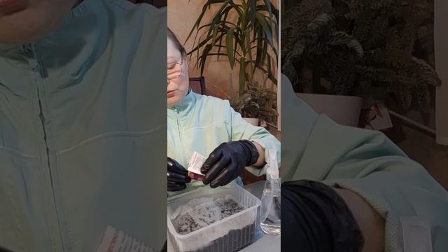Сею семена петунии сорта УНИКУМ | Ирина Родина