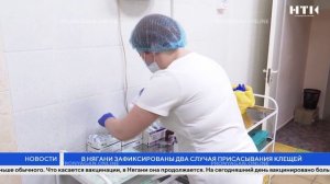 В Нягани зафиксированы два случая присасывания клещей