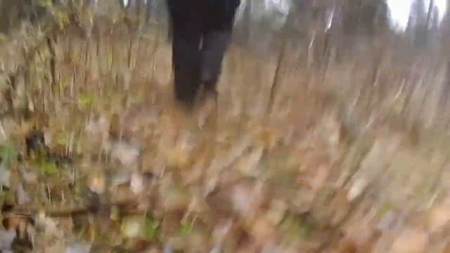 Поиск от первого лица смотреть онлайн