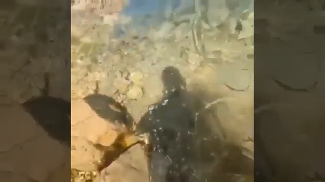 Озеро у подножия горы Шалбуздаг ТУТ ДАГЕСТАН смотреть онлайн