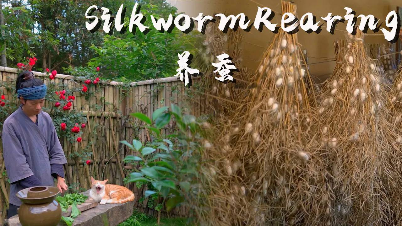 A Two-Month Chronicle of the Life of Ancient Silkworms： The Origin of the Silk Road #SilkwormRearing смотреть онлайн