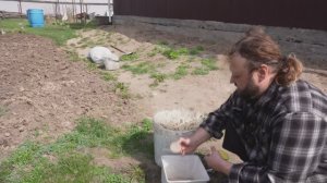 Как посадить картофель ПОКАЗЫВАЮ КАК ЭТО ДЕЛАЮ Я