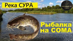 🔥Ночью ЦАПНУЛИ ЖЫРНОГО СОМИКА⭐️в Подсачек!! Рыбалка на р.Сура!! Пенза...