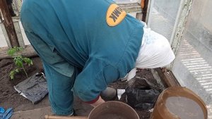 ПОСАДКА ОГУРЦОВ( 1часть)