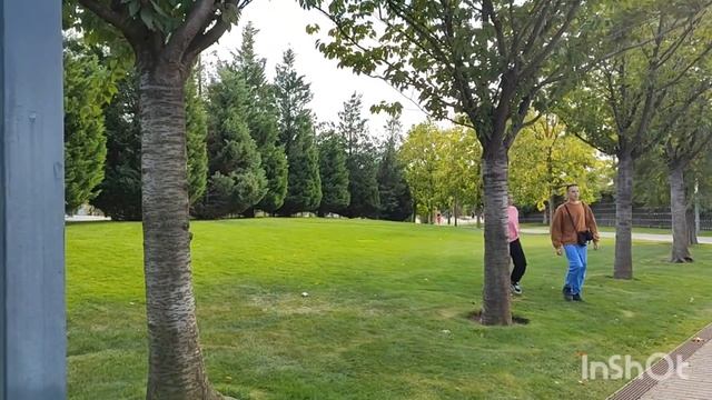 2024г. Начинает холодать🥶//Встреча с Юлей❤️//Гуляем в парке // Покупки на WB // Mariya VD LIFE. смотреть онлайн