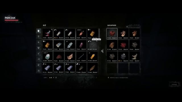 Тhe long dark  Вышел на Прибрежное шоссе