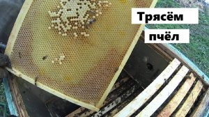 Самый эффективный вариант метода Дэмари на пасеке.