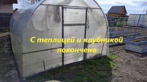 Работа в теплице не кончается. Обрабатываю землянику и клубнику.