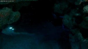 Дайвинг Шарм Эль Шейх риф отеля Island View