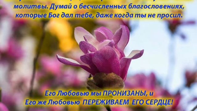 Даже, если не поверили нам. 19.06.2020. Старший пастор Людмила Мастерова. Церковь В Реке Жизни.