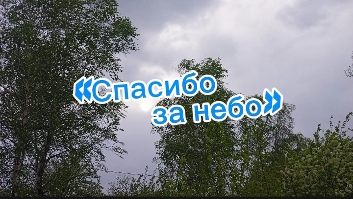 «Спасибо за небо» ©Виктория Полшкова #80летВеликойПобеде
