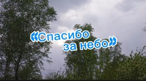 «Спасибо за небо» ©Виктория Полшкова #80летВеликойПобеде