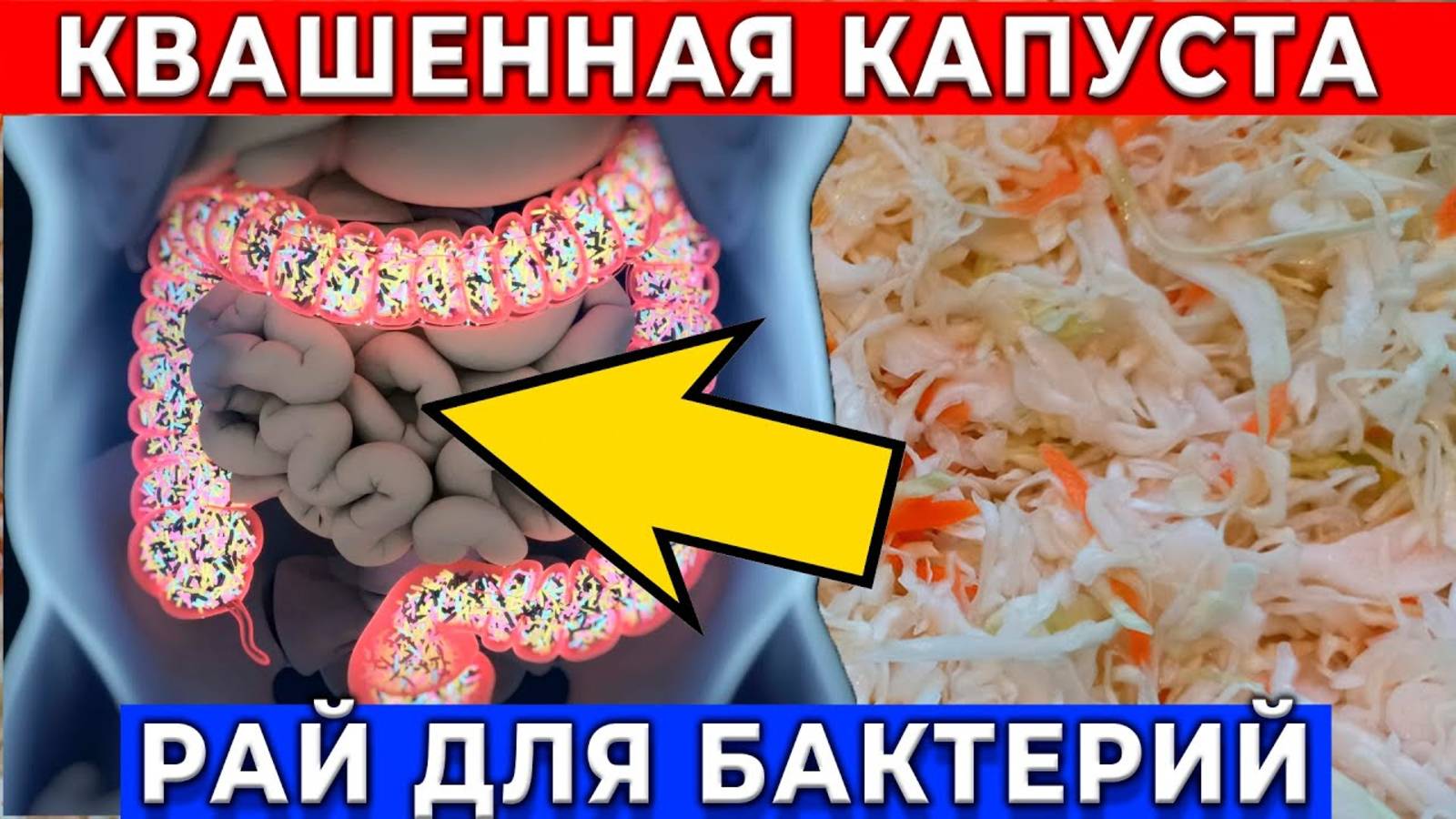 Секрет долголетия, Опыт предков который вы игнорируете! Я стал есть квашеную капусту каждый день …