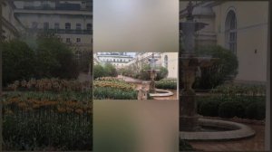 Эрмитаж. Древные своды предыдущих зданий. Что скрывают висячие сады?