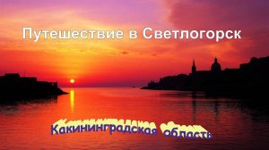 Моё путешествие в Светлогорск