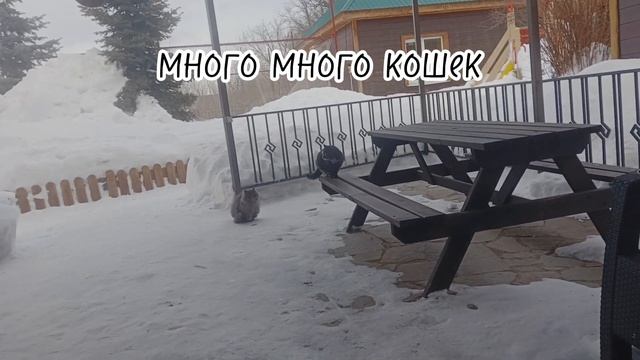 Влог в Оренбургскую область Бузулукский бор санаторий. Д̣е̣н̣ь̣ 1̣ смотреть онлайн