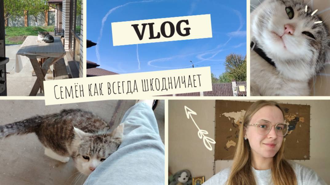 VLOG Семён как всегда шкодничает😞