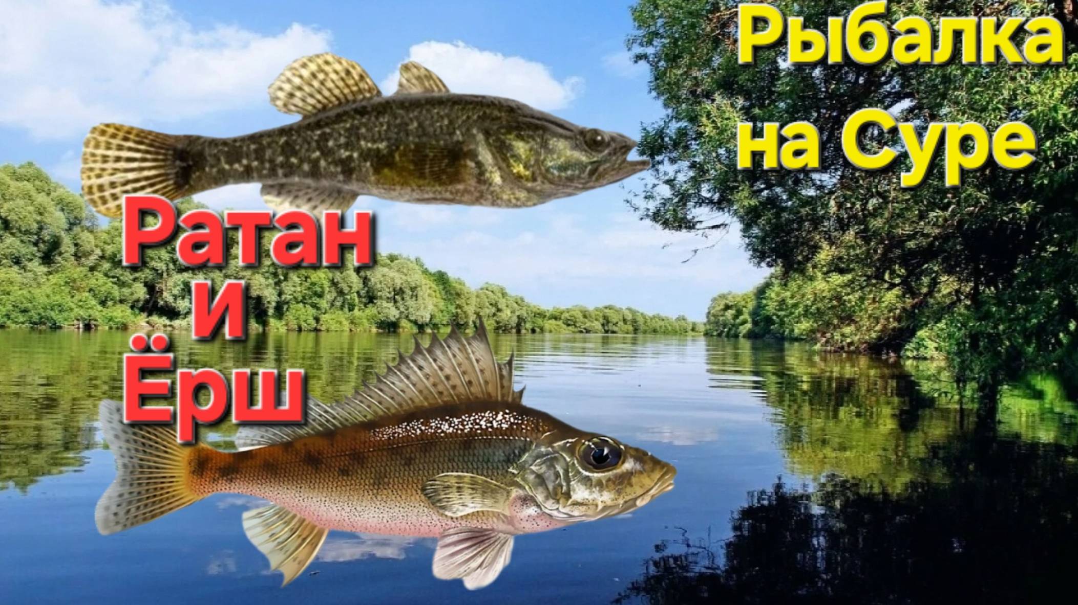🔥Дёрнули ЁРШИКА и РАТАНА⭐️на червя!! Рыбалка на р.Сура!! Пенза...