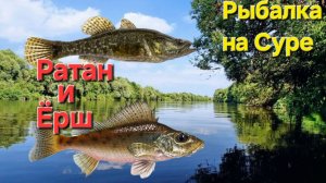 🔥Дёрнули ЁРШИКА и РАТАНА⭐️на червя!! Рыбалка на р.Сура!! Пенза...