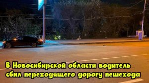 В Новосибирской области водитель сбил переходящего дорогу пешехода