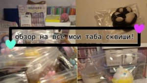 Обзор на все мои таба сквиши??? (~живя полной силой~)