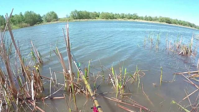 НА РЫБАЛКУ ВСЕЙ СЕМЬЁЙ!!! ДОН!!! ХУТОР ВЕРТЯЧИЙ!!! смотреть онлайн