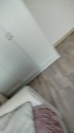 scene_output.mp4
