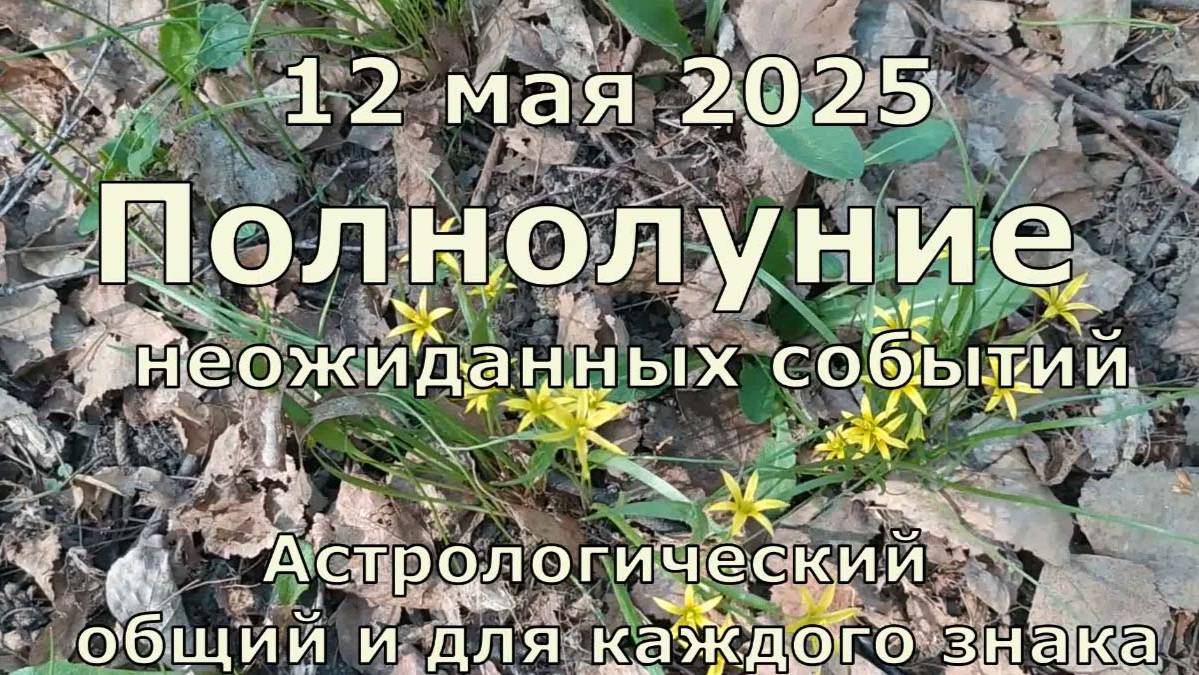 Полнолуние неожиданностей 12 мая 2025, что принесёт в общем и каждому знаку