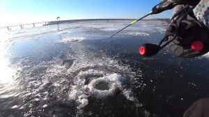ТОЛЬКО НАШЛИ и НАС ОКРУЖИЛИ!! Ловля СУДАКА и ЩУКИ НА БАЛАНСИР ЗИМОЙ.