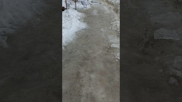 14 марта 2025 г., 14:42:53
ул. Газеты Звезда
VID_20250314_143950075
