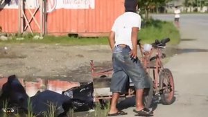 пранк с собакой 2025