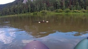 Сплав по Реке Мана,Красноярск 2017 (Часть 4)