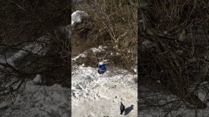 Голуби и кормушка