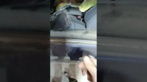 Как снять уплотнители стекл ( бархотки) на любой машине.