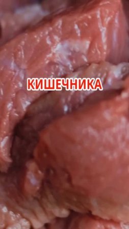 Герой для кишечника