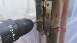 Простая теплица своими руками для выращивания помидоров