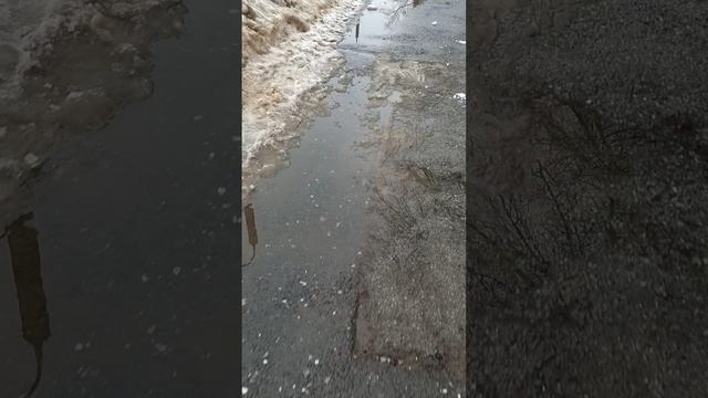 14 марта 2025 г., 14:35:14
ул. Белинского
VID_20250314_143203282