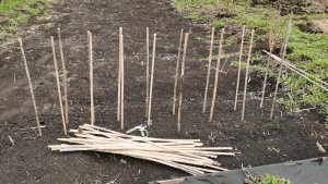 Холод и заморозки! Огородные работы и новые посевы. Кто живёт в нашей теплице.