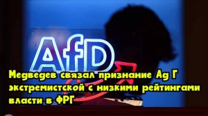 Медведев связал признание АдГ экстремистской с низкими рейтингами власти в ФРГ