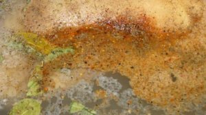 Копченая грудинка