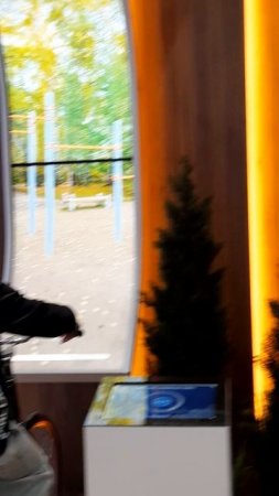 2025050  Виртуальные путешествия на выставке Россия