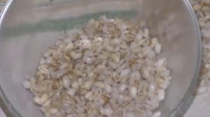 Перловка для рыбалки и с чем ее можно смешать. 8 рецептов.