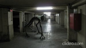 страшные истории. монстр на дороге